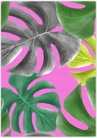 Poszterek 70x100 Levelek Monstery