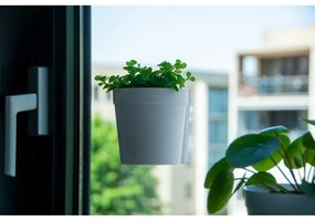 Műanyag függő és fali virágcserép készlet 2 db-os ø 10 cm – Esschert Design