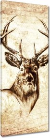 Vászonkép 40x100 Szarvasfej