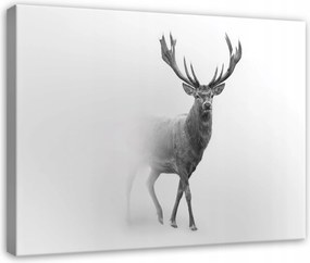 Vászonkép Szarvas A Ködben Állatok Természet Nappali Hálószoba Vászon 60x40
