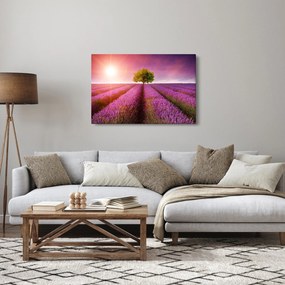 Levendula mező képe (90x60 cm)