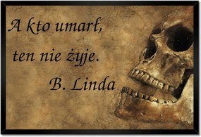 Poszterek keretben 60x40 Idézet a kutyáktól