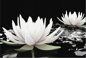 Flizelin fotótapéta Flizelin Design Víz virágok 104x70 Ragasztó