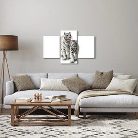 Kép - A fehér tigris (90x60 cm)