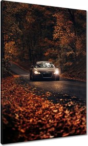 Vászonkép 70x100 Audi Őszi tájkép
