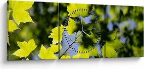 Kép - juhar levelek (órával) (90x30 cm)