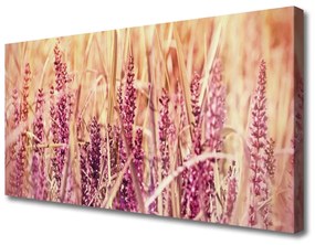 Canvas kép Búza növény természet 100x50 cm