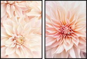 Tavaszi virágok dália csokor poszter szett 2db 13x18cm színes szett