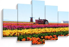 Tulipánfarm képe (150x105 cm)