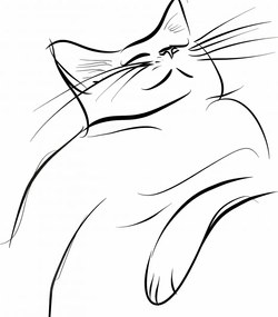 Poszter 50x50cm Macskaelégedettség vázlat