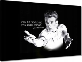 Festmények 120x80 James Dean