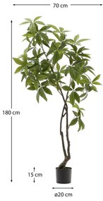 Műnövény (magasság 180 cm) Pachira – Kave Home