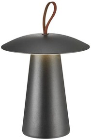 NORDLUX 2118245003 ARA Kültéri Dekorációs Lámpa LED IP54