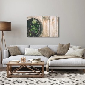 A pozsgás növények képe üvegben (90x60 cm)