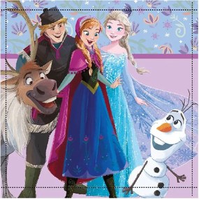 Disney Jégvarázs Friends Forever kéztörlő, arctörlő, törölköző 30x30cm