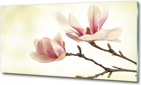 Fotó vászonkép edzett üveg Orchidea 100x70