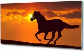 Fotó-üvegkép Ló naplemente 125x50