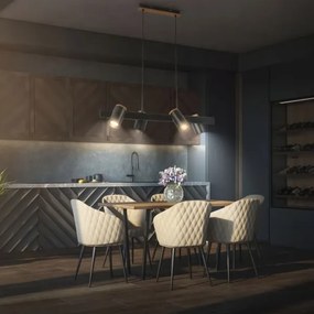 Briloner 4059045 - ERA kábeles csillár 4xGU10/10W/230V fekete