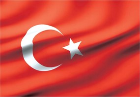 Fotótapéta Vörös félhold Éjszaka Csillag Selyem vinil 254x184 +ragasztó