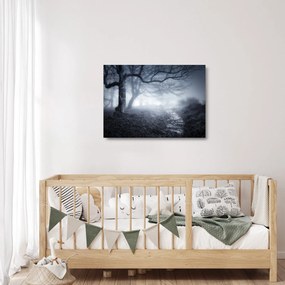 Kép - Út a ködben (üvegen) (70x50 cm)