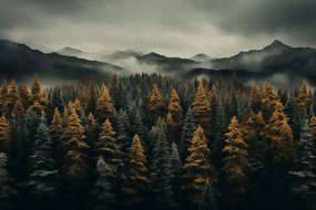 Poszter 45x30cm Ködös reggel