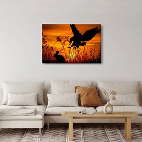 A ragadozó sziluettjének képe (90x60 cm)