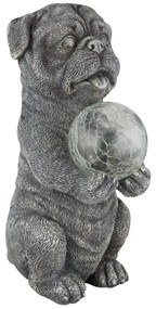 Globo 33889 - LED napelemes dekoráció LED/0,02W/3V IP44 kutya