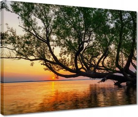 Vászonkép 40x30 Fa Levelek Tó