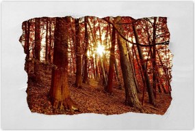 Poszterek 120x80 Tájkép Látvány