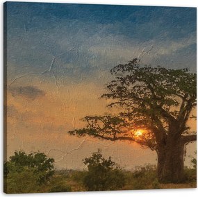 Vászonkép Lenyugvó nap a szavannán 80X80 cm Ajándéknak is tökéletes