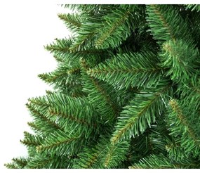 Karácsonyfa 220 cm-es ezüstfenyő