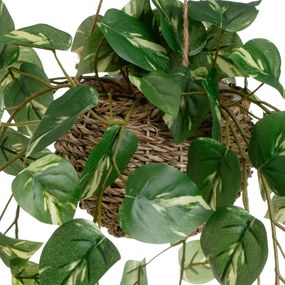 Műnövény szett 2 db-os (magasság 50 cm) – Casa Selección