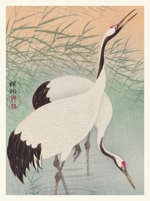 Reprodukció Two Cranes, Ohara Koson