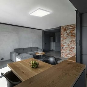 Leuchten Direkt 12200-16 - LED Mennyezeti lámpa FLAT LED/17W/230V