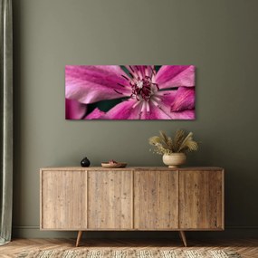 Rózsaszín flamingóvirág képe (120x50 cm)