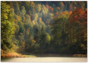 Poszterek 100x70 Erdei táj Kilátás