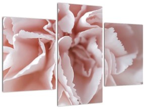Kép - Virág részlete (90x60 cm)