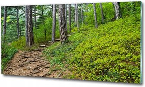 Fotó kép edzett üveg Folyó a hegyekben 100x70