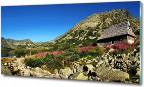 Fotó üvegkép Vízesés az erdőben 125x50