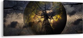 Kép - Titokzatos ég (120x50 cm)