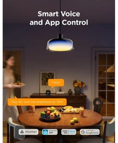 Govee - LED RGBICWW Fényerőszabályozható kábeles csillár LED/21W/230V matt Wi-Fi