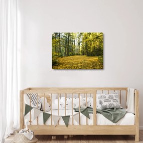 Kép - erdő ősszel (üvegen) (70x50 cm)
