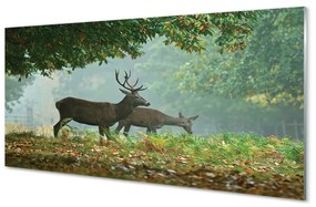 Akrilkép Deer őszi erdő 120x60 cm 2 fogas