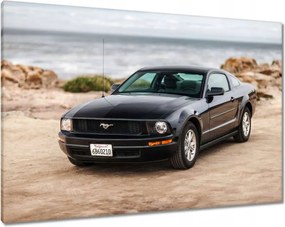 Képek 100x70 Fekete Ford Mustang