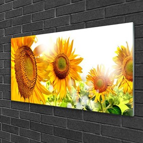 Üvegkép Napraforgó virág növény 100x50 cm