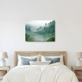 Üveg kép - Reggeli köd (70x50 cm)