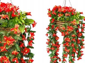 Pelargónia, liliomlevelű, futó petúnia, virágok erkélyre, függő virágtartóba