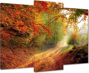 Vászonkép 90x70 Út az erdőben ősz