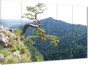 Vászonkép 100x70 Magányos fa