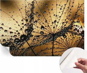 Öntapadós fotótapéta a konyhába Mosható Finom cseppek 104x70 cm